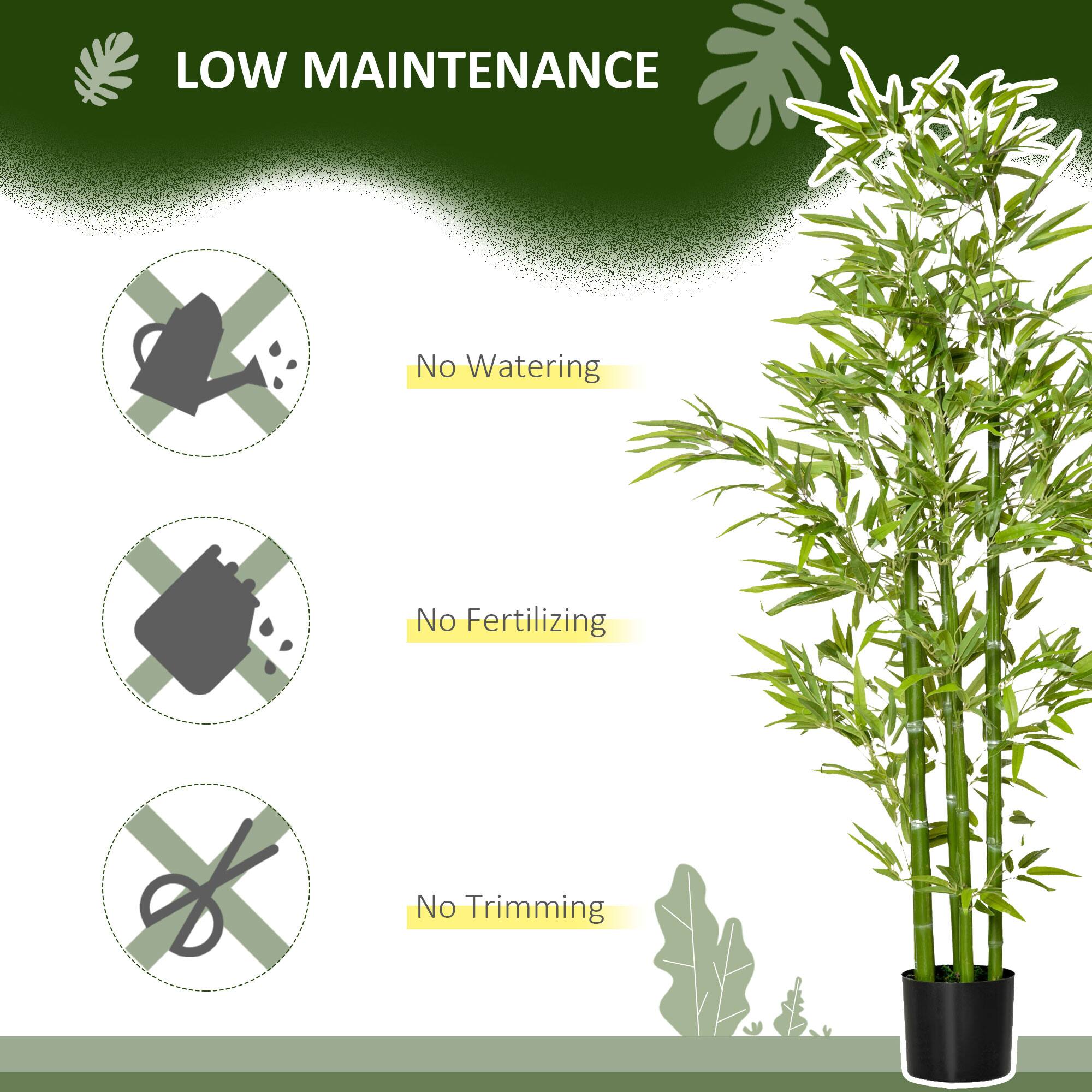 LOW MAINTENANCE

- No Watering
- No Fertilizing
- No Trimming