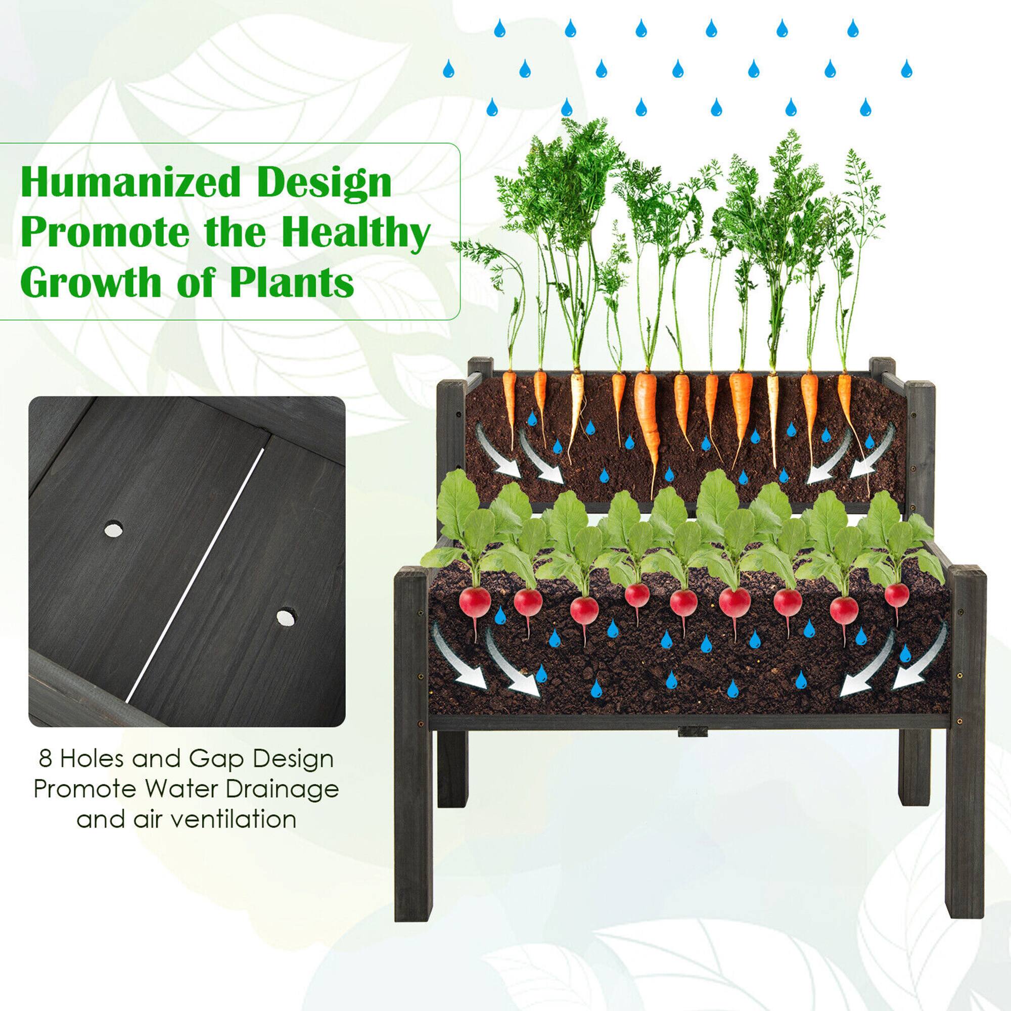 Humanized Design Promote the Healthy Growth of Plants

8 Holes and Gap Design Promote Water Drainage and Air Ventilation