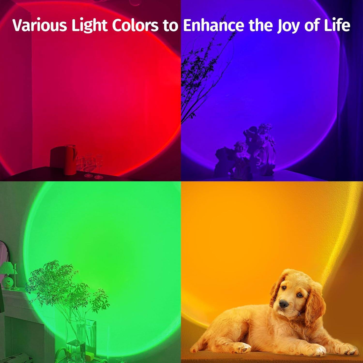 Various Light Colors to Enhance the Joy of Life