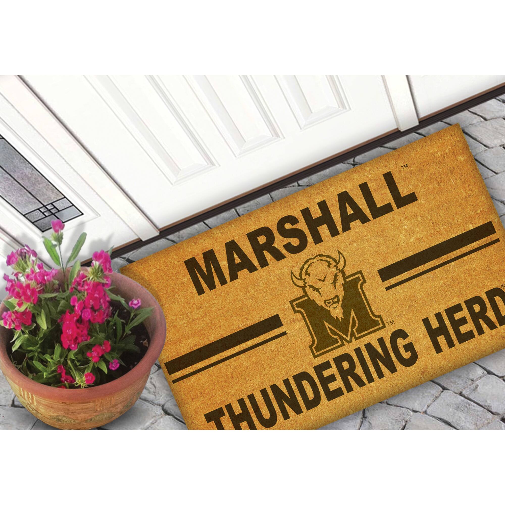 MARSHALL  
THUNDERING HERD