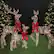 Front. Best Choice Products - Best Choice Products 3-Piece 2D Deer Family Set, Lighted Christmas Outdoor Decoration w/ 175 Lights, Stakes - Rattan - Rattan.