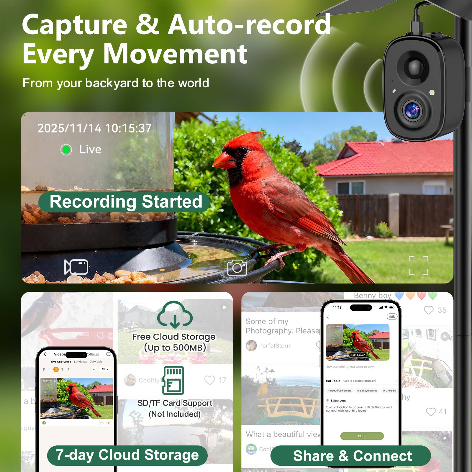 Capture & Auto-record Every Movement  
From your backyard to the world  

2025/11/14 10:15:37  
Live Recording Started  

Free Cloud Storage (Up to 500MB)  
SD/TF Card Support (Not Included)  

7-day Cloud Storage  

Share & Connect  

Some of my Photography. Please PerfectStorm  
Benny boy  

What a beautiful view men  

Coolfly1 17 - Toprie