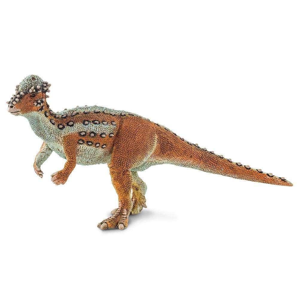 Angle. Safari Ltd. - Pachycephalosaurus.