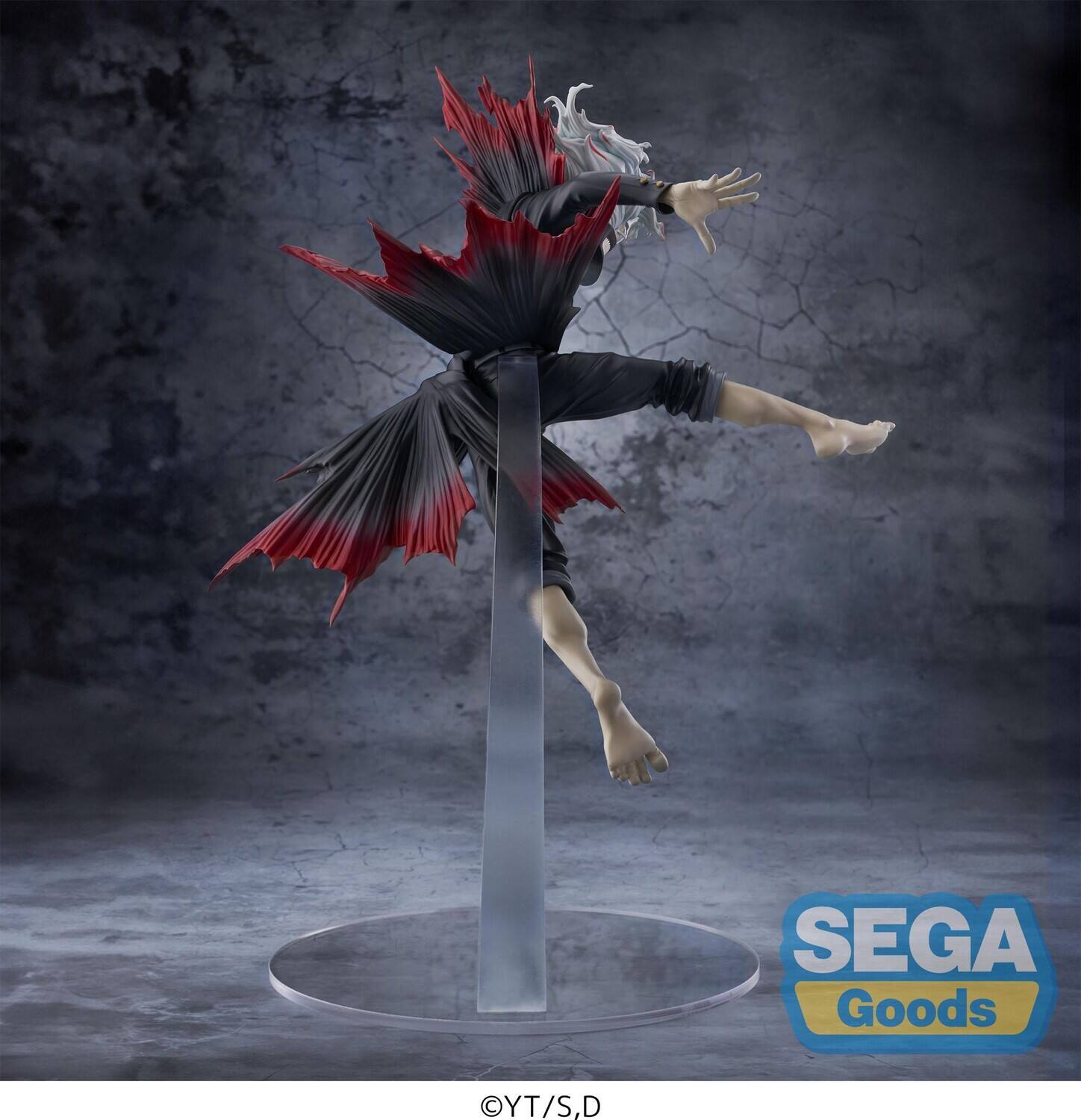 SEGA Goods  
YT/S,D