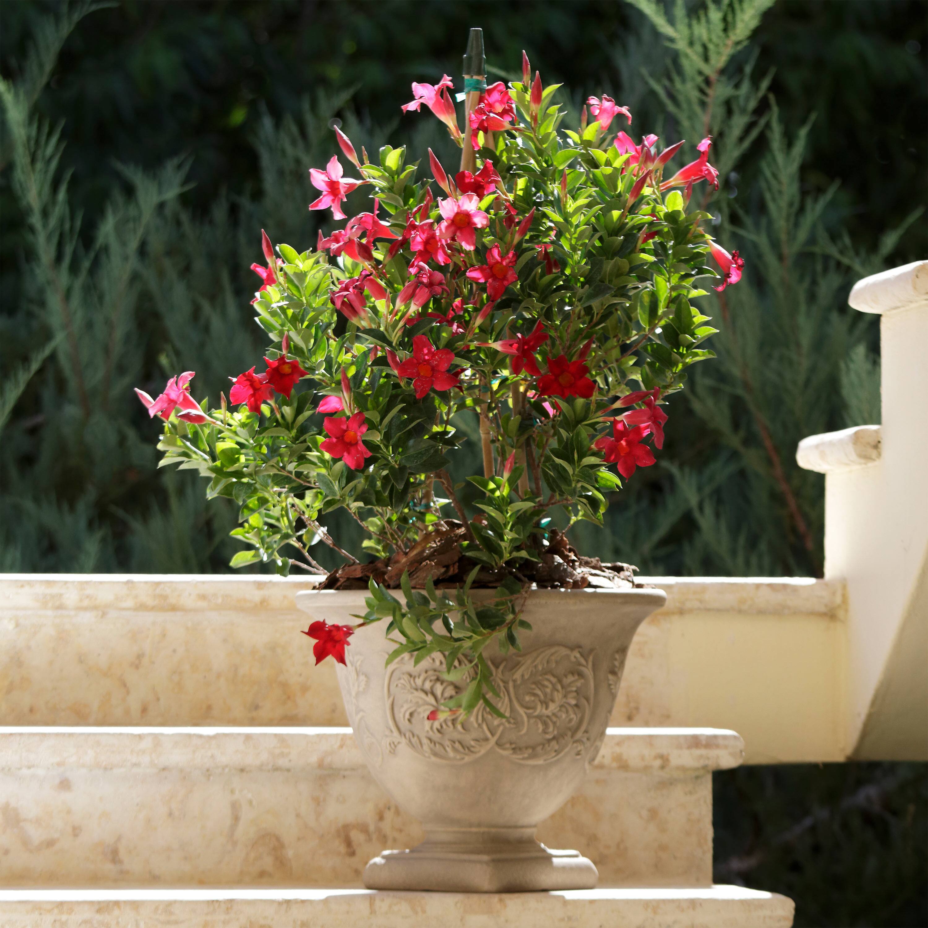 Alt View 1. Sunnydaze - 16 in Darcy Dual-Wall Polyresin Planter - Beige.