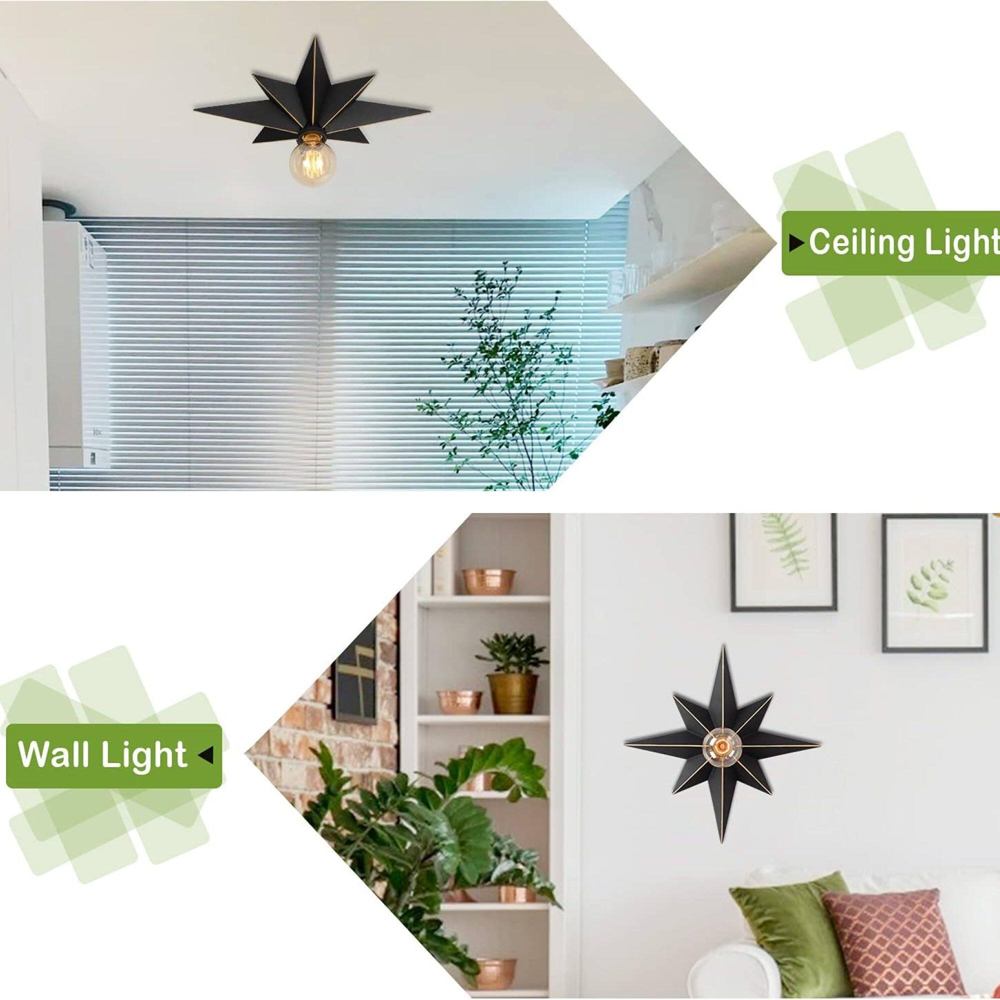 Ceiling Light  
Wall Light