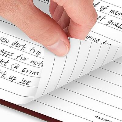 Sure, here is the corrected and grouped text:

- New York trip
- Apps for note
- Right @ Erin's
- Check up Joe
- AT-A-GLANCE