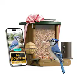 BIRDFY - Cedar D Smart Bird Feeder with Solar Panel, 1080P Camera, Lifetime Free AI Bird ID, Slow Motion, Night Vision, Durable - Brown