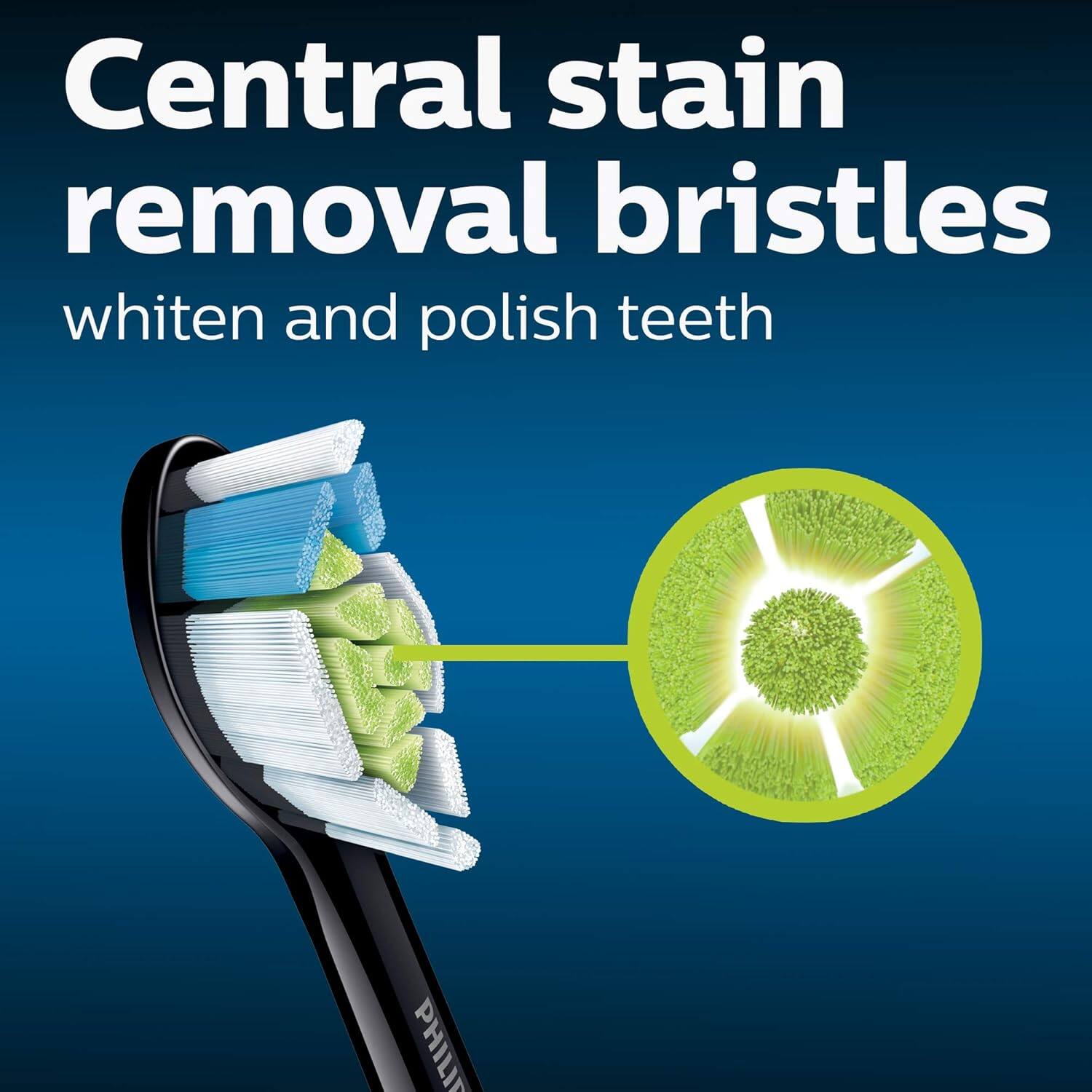 Central stain removal bristles  
whiten and polish teeth