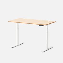 Autonomous - Desk 2 Electric Standing Desk 53x29 - 3-Stage - White Bamboo