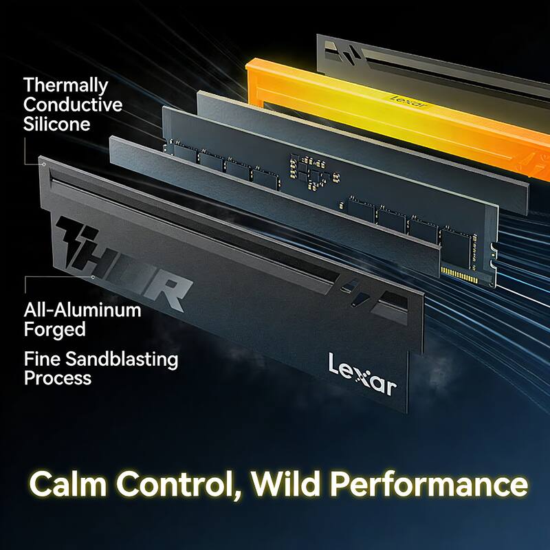 Thermally Conductive Silicone  
All-Aluminum Forged  
Fine Sandblasting Process  

Lexar  
Calm Control, Wild Performance