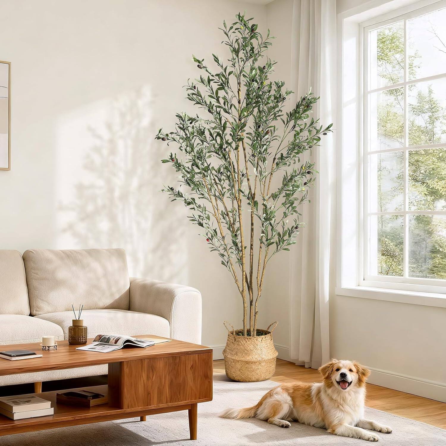 Back. Homhougo - 7FT Olive Trees Artificial Indoor, Faux Silk Plant with Natural Wood Trunk and Lifelike Fruits, Black Imitation Ceramic - Black.