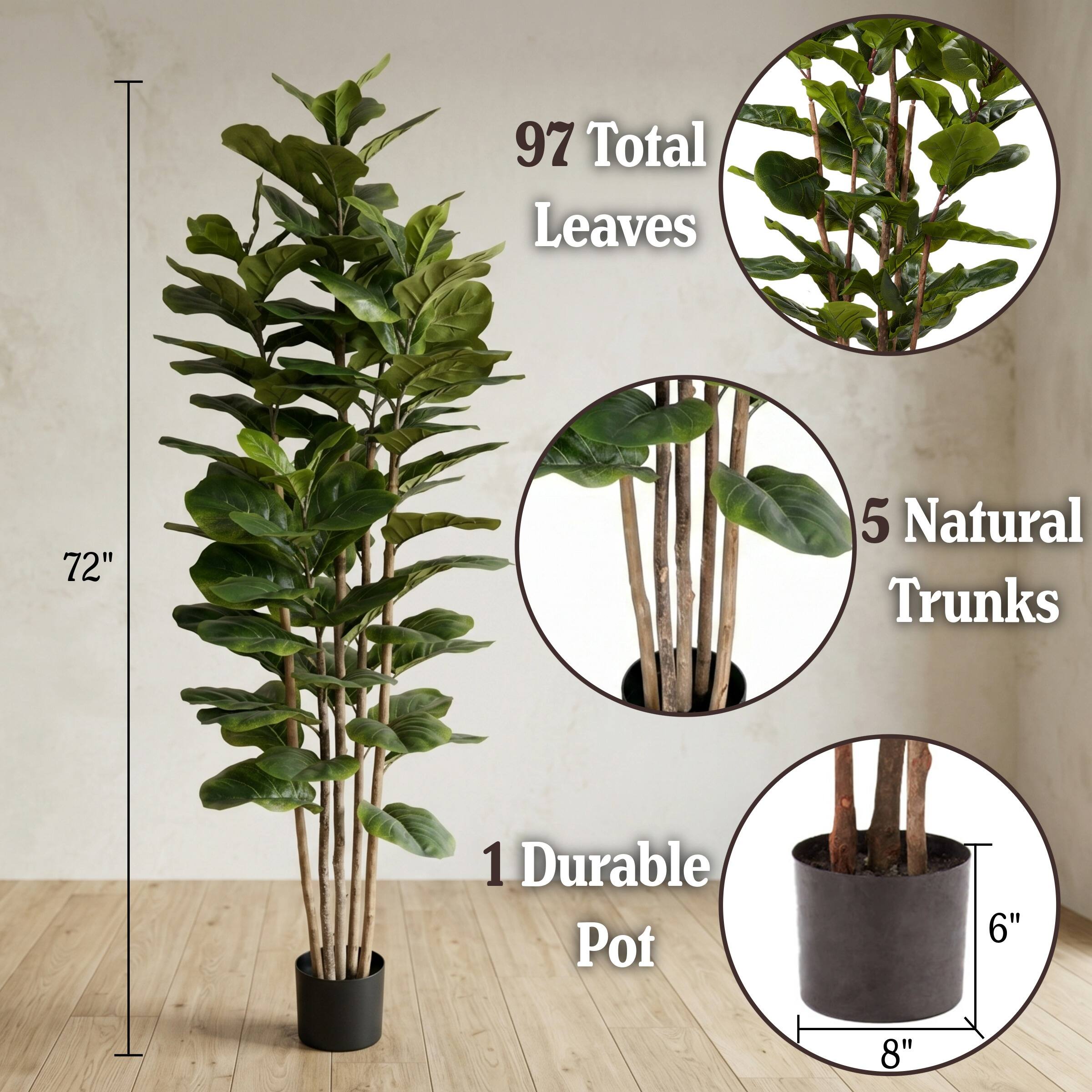 97 Total Leaves  
72"  
5 Natural Trunks  
1 Durable Pot  
6" x 8"