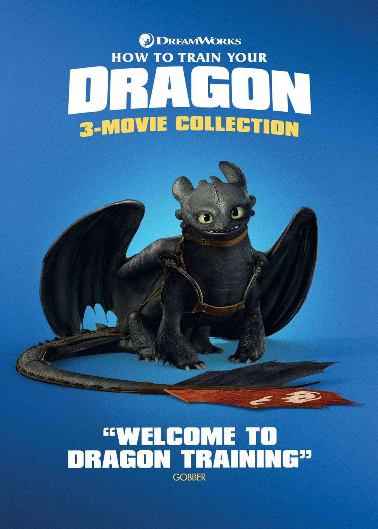 How to Train Your Dragon: 1-3 (DVD Set) [DVD] [Standard]