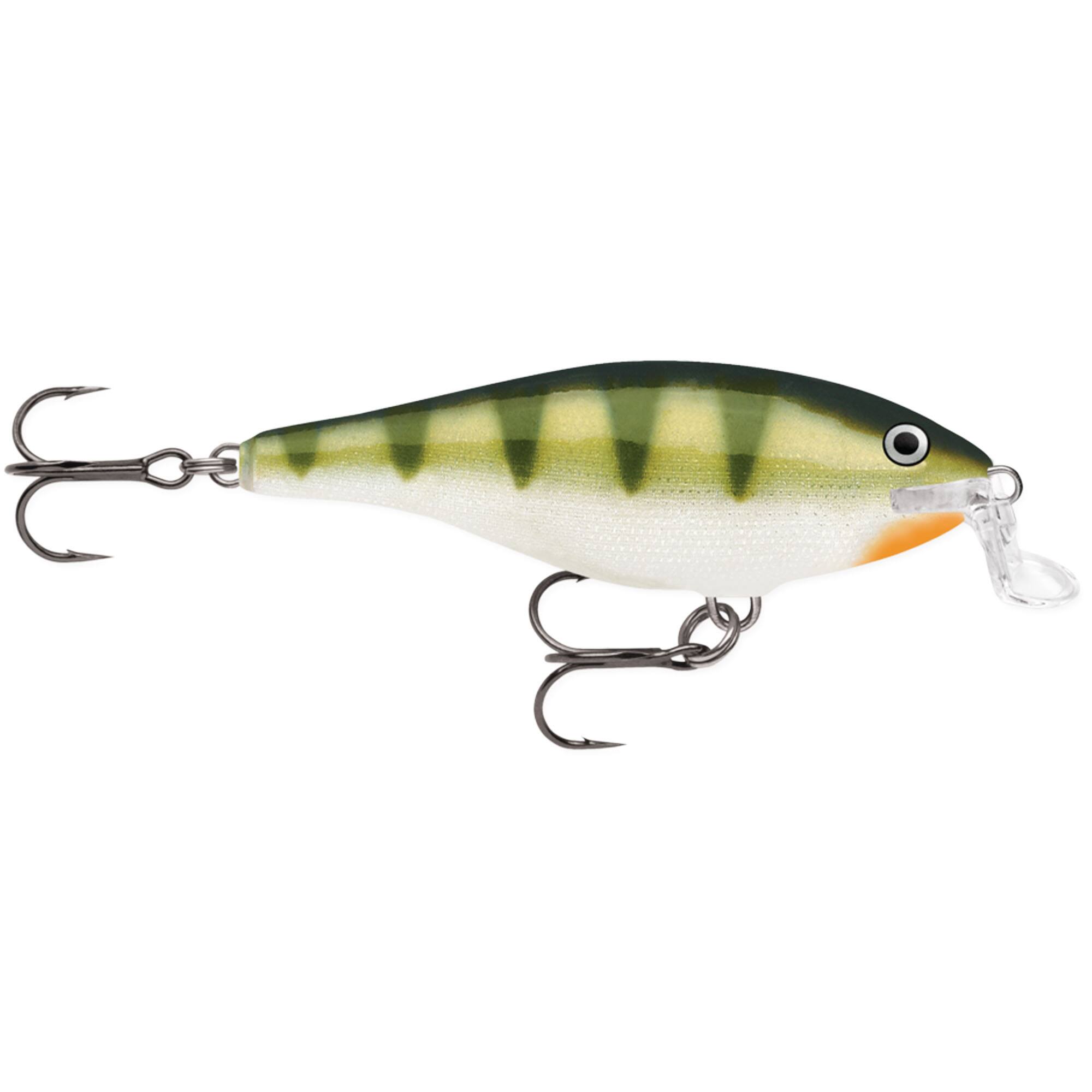 Yellow Perch