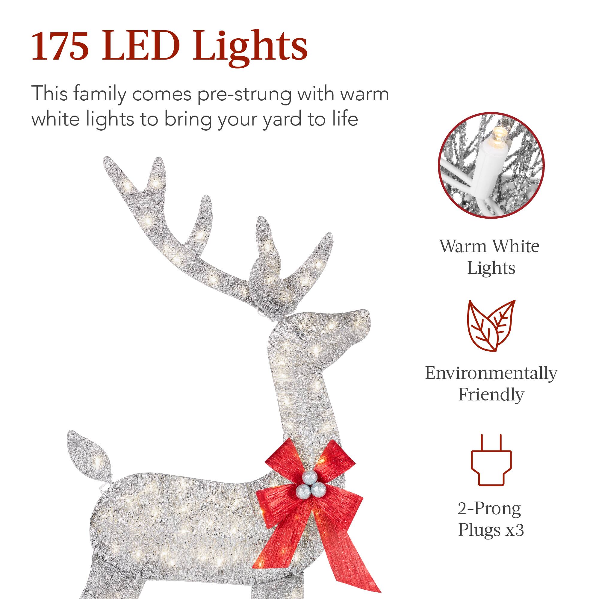 175 LED Lights

This family comes pre-strung with warm white lights to bring your yard to life

- Warm White Lights
- Environmentally Friendly
- 2-Prong Plugs x3