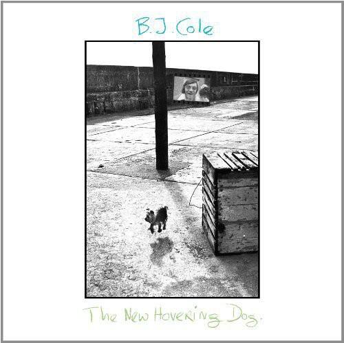 B.J. Cole

The New Hovering Dog