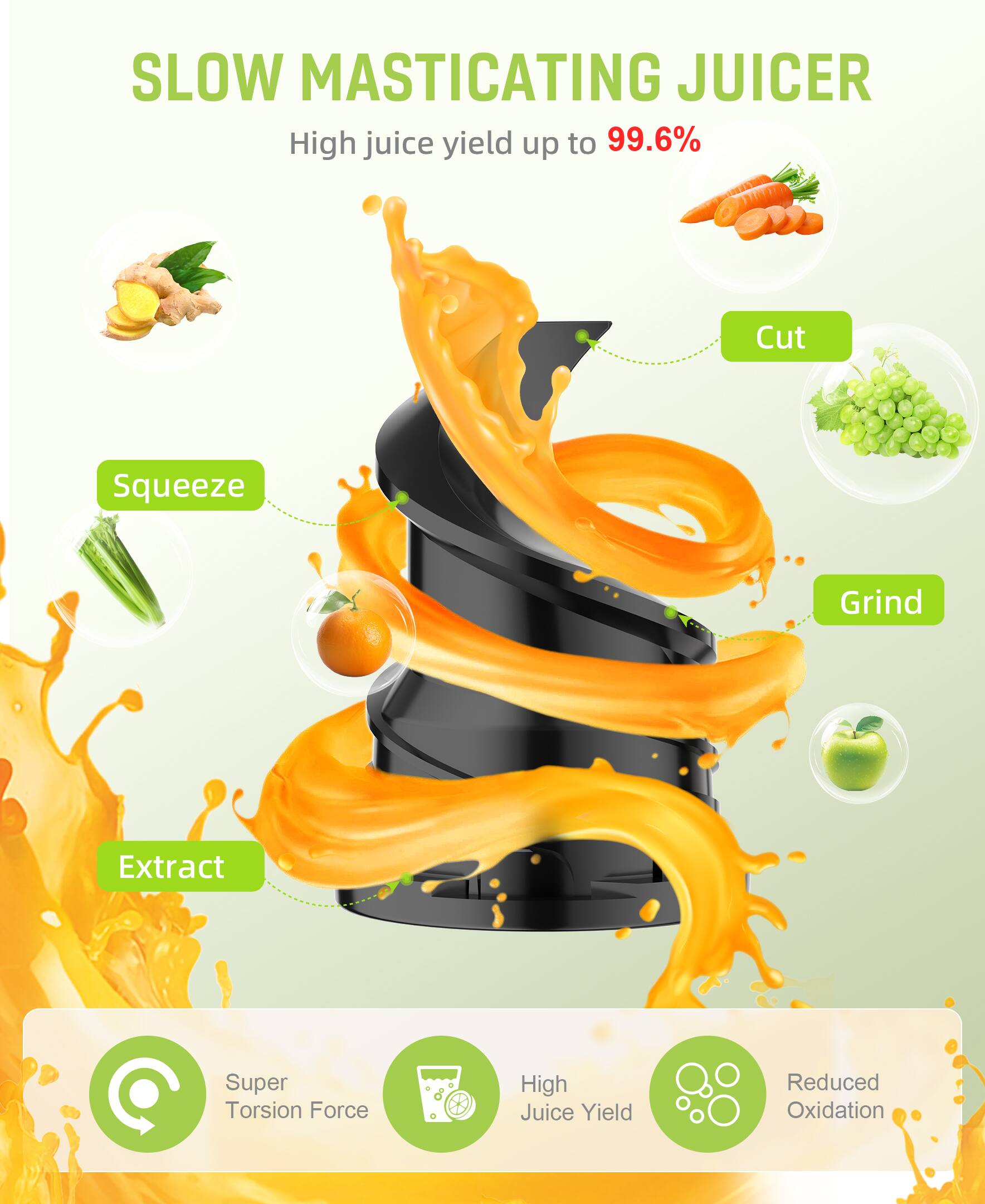 SLOW MASTICATING JUICER  
High juice yield up to 99.6%  

Cut  
Squeeze  
Grind  
Extract  

Super Torsion Force  
High Juice Yield  
Reduced Oxidation