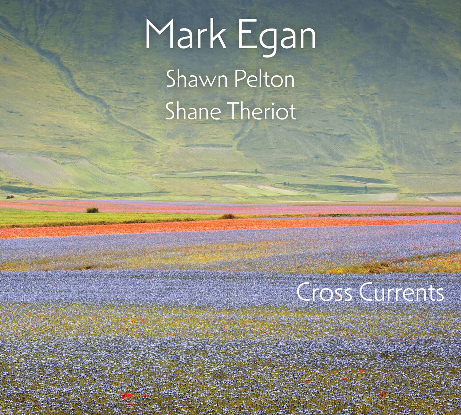 Mark Egan  
Shawn Pelton  
Shane Theriot  

Cross Currents
