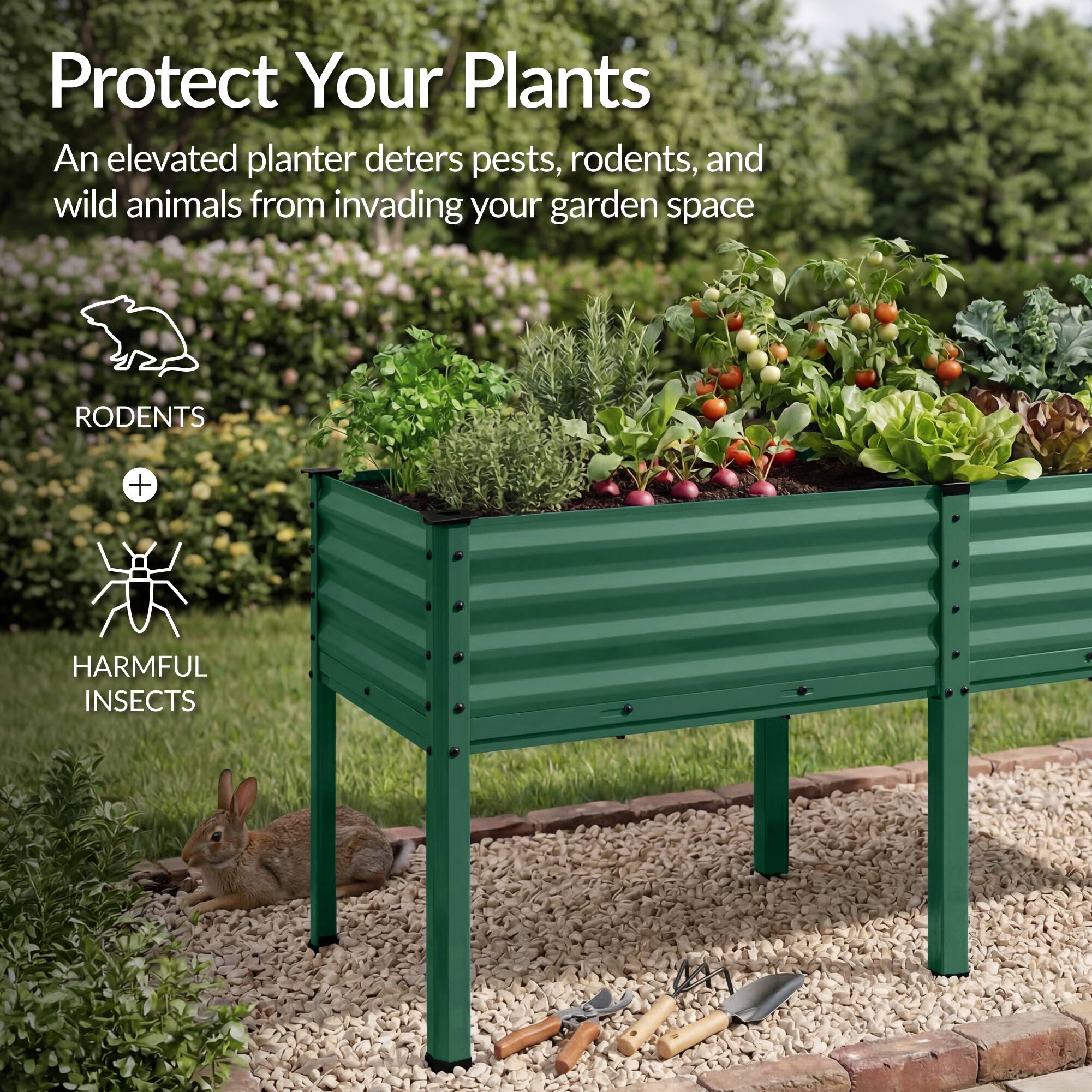 Protect Your Plants

An elevated planter deters pests, rodents, and wild animals from invading your garden space

RODENTS + HARMFUL INSECTS