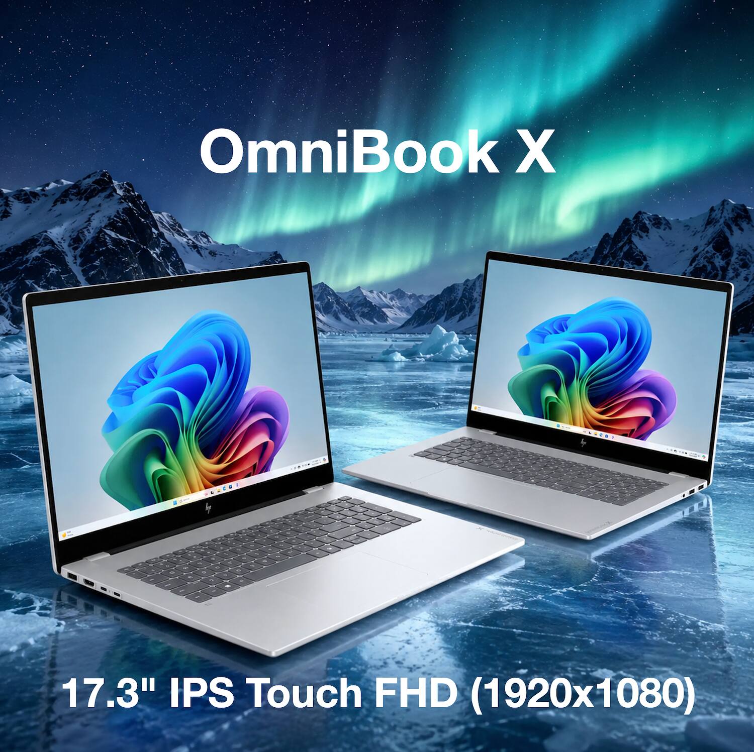 OmniBook X  
17.3" IPS Touch FHD (1920x1080)