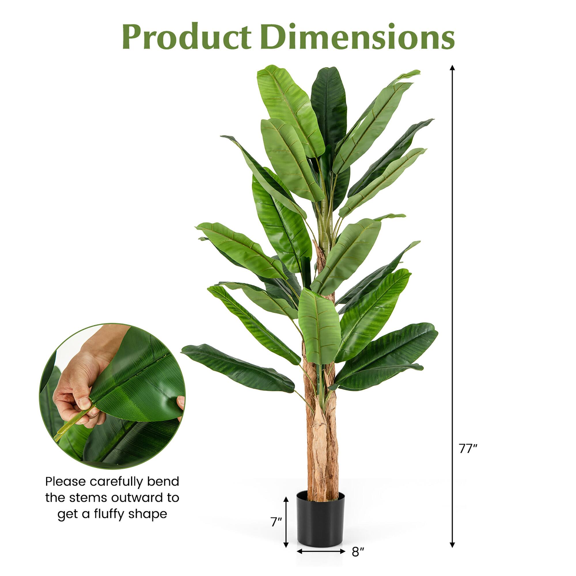 Product Dimensions

Please carefully bend the stems outward to get a fluffy shape

77"

7"

8"