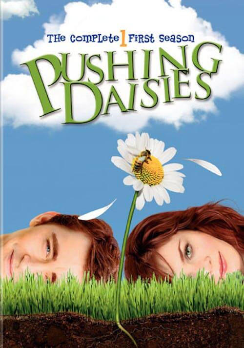 Pushing Daisies: The Complete First Season (DVD Widescreen) [DVD] [Standard]