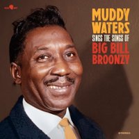 Sings the Songs of Big Bill Broonzy [LP] - VINYL - Front_Zoom