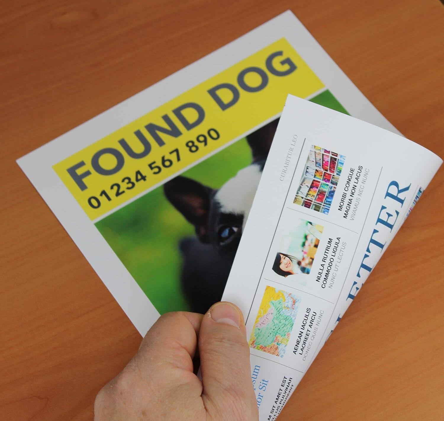 FOUND DOG  
01234 567 890  

CURABITUR E LACUS NUNC 01234 CONGUE NON NEC MORBI MAGNA VIVAMUS : NULLA COMMODO RUTRUM NUNC LIGULA UT LECTUS ETTER IACULIS ARCU NUNC QUIS AENEAN LAOREET DONEG sum EST Sit PULVINAR o AMET TUET LUS M