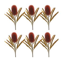 BreeBe - Burnt Orange Banksia Floral Stem (Set of 6) - Green, Red