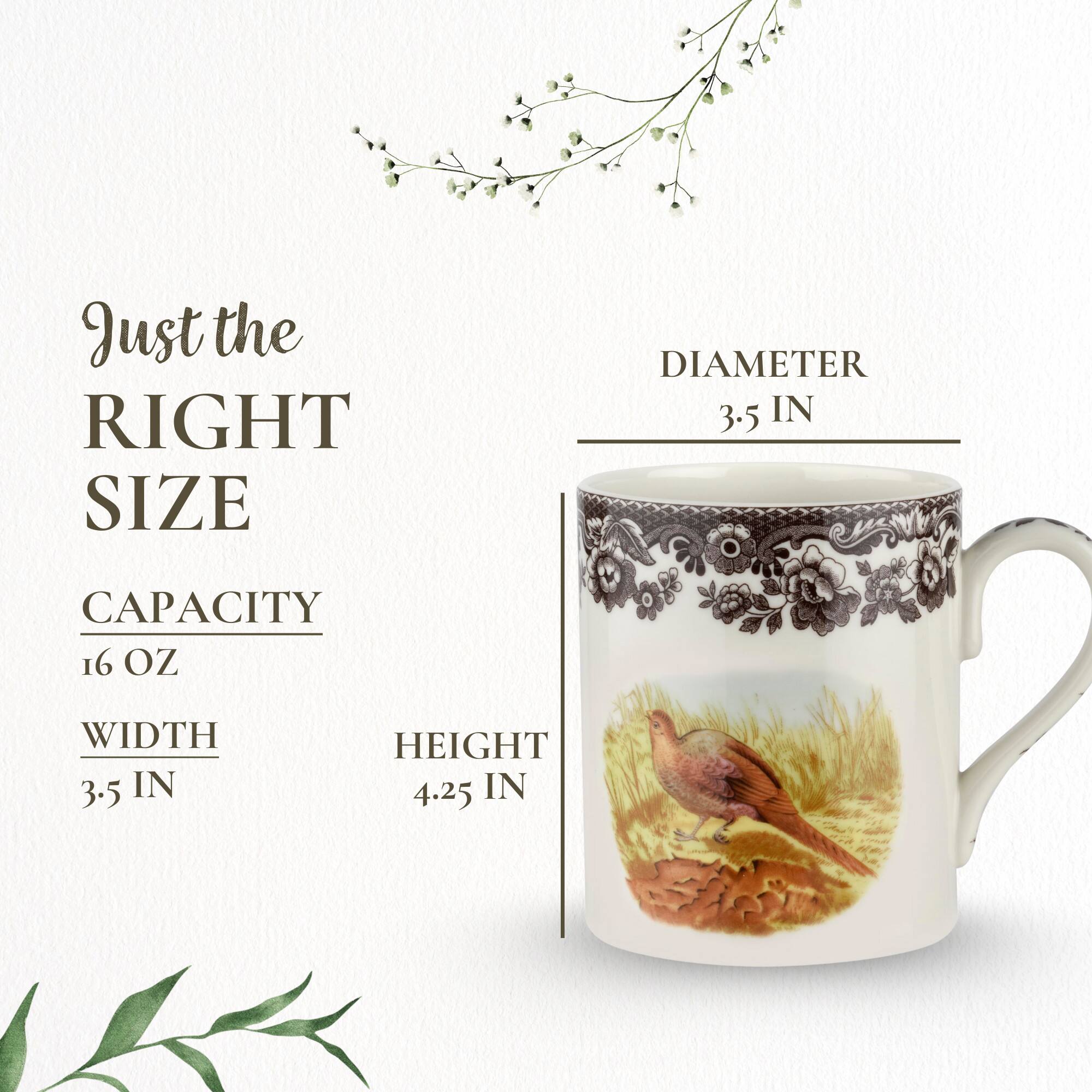 Just the RIGHT SIZE

DIAMETER 3.5 IN

CAPACITY 16 OZ

WIDTH 3.5 IN

HEIGHT 4.25 IN