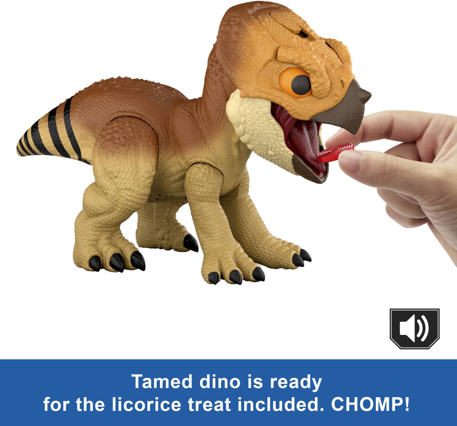 Tamed dino is ready for the licorice treat included. CHOMP!