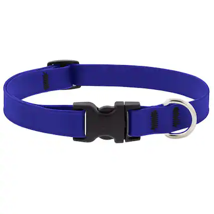 Front. LupinePet - LupinePet Splash True Blue BioThane Dog Adjustable Collar Medium - True Blue.