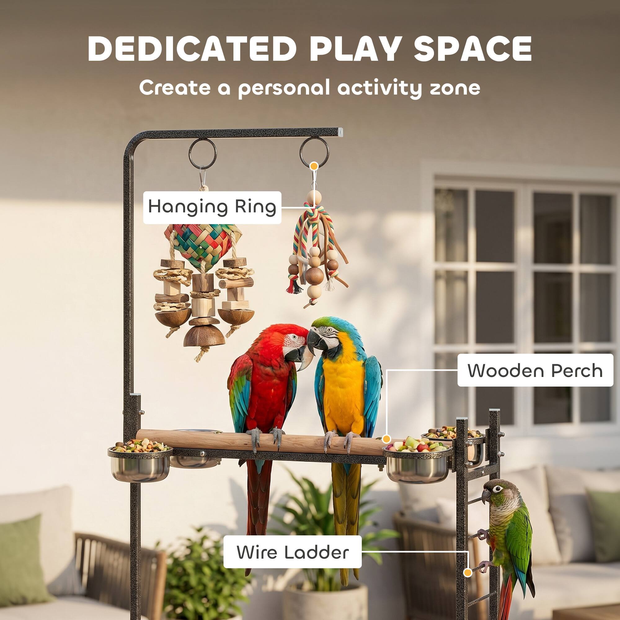 DEDICATED PLAY SPACE  
Create a personal activity zone  

- Hanging Ring  
- Wooden Perch  
- Wire Ladder