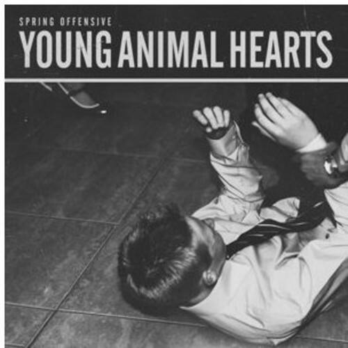 SPRING OFFENSIVE  
YOUNG ANIMAL HEARTS