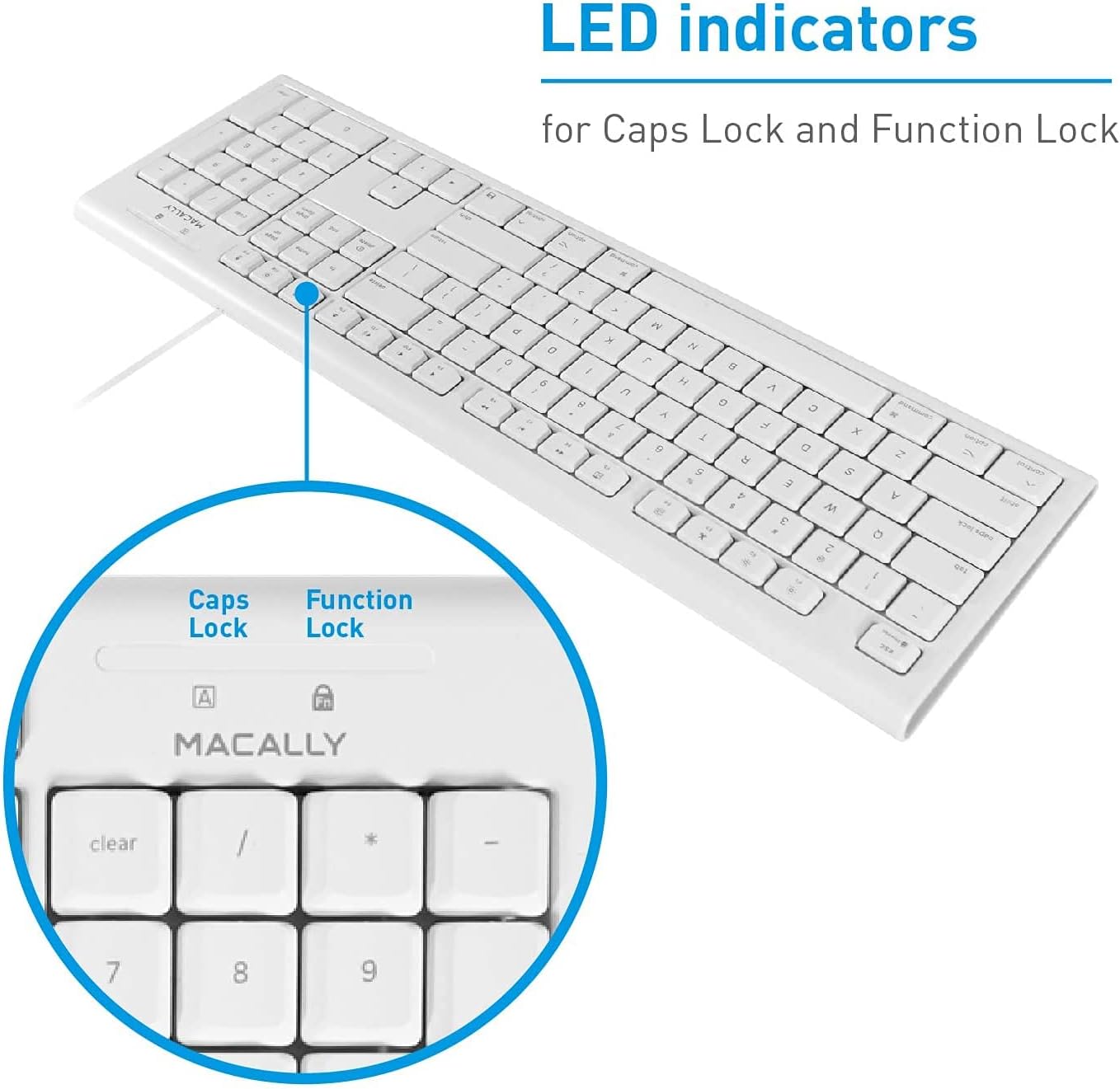 LED indicators for Caps Lock and Function Lock.