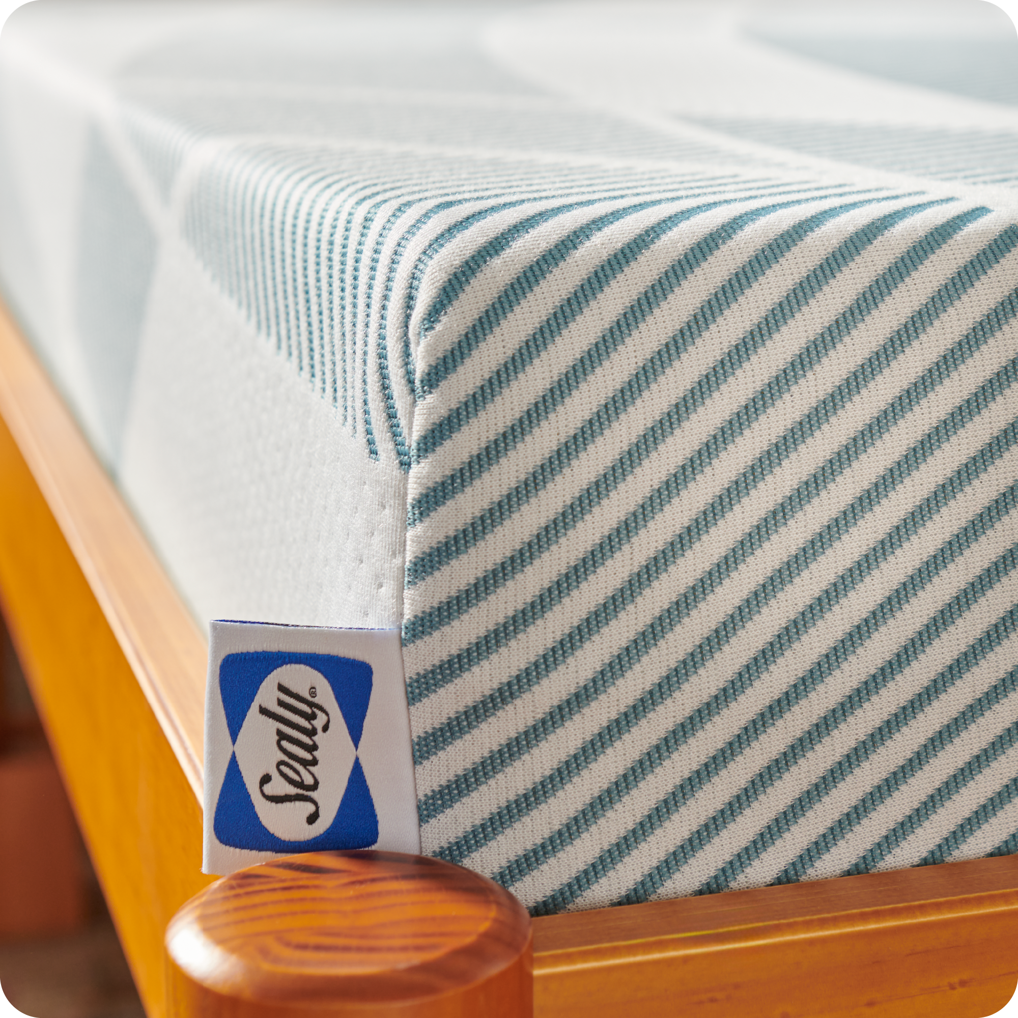 Alt View 16. Sealy - Sealy® Dreamlife™ 6” Foam Mattress-in-a-Box, Twin XL - White.