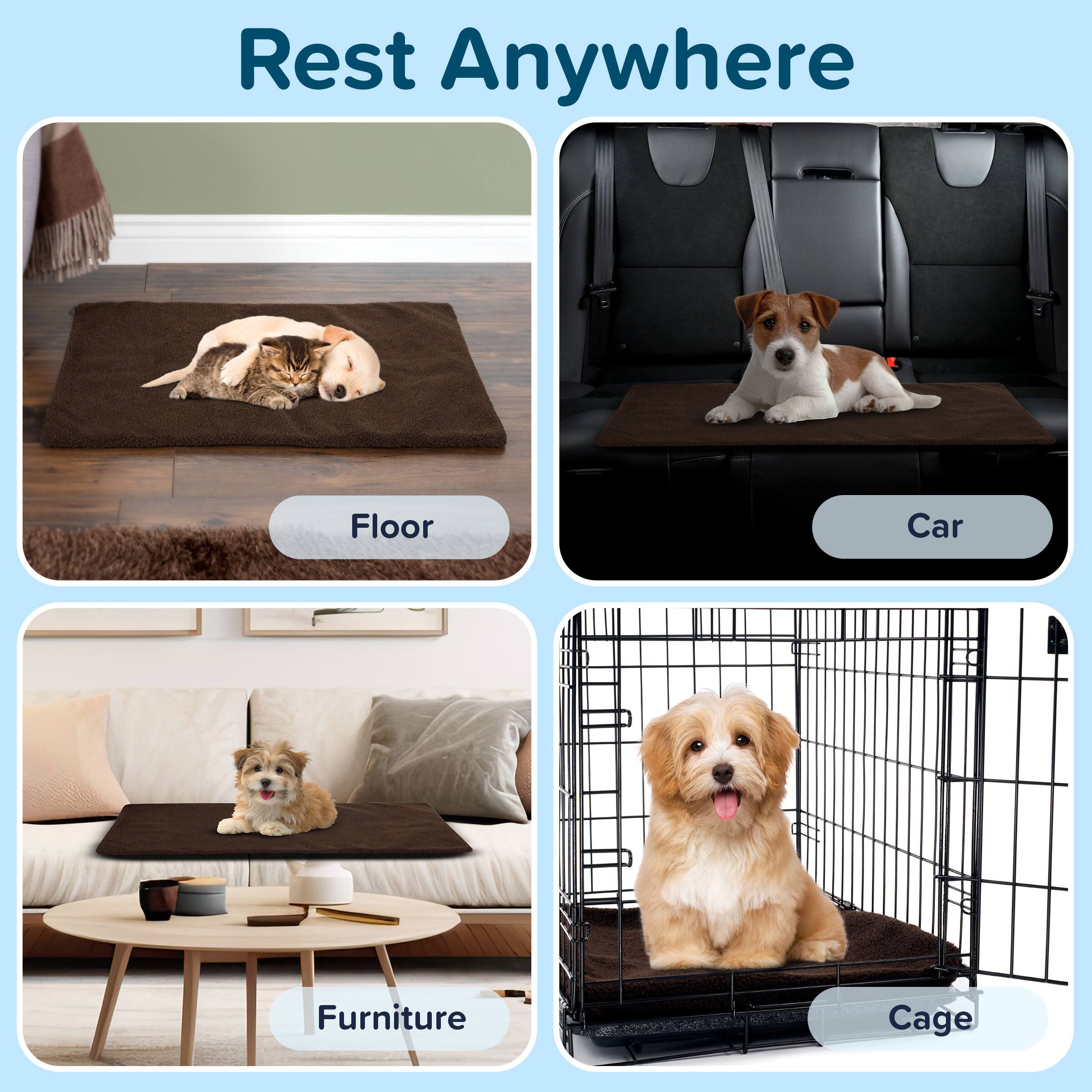 Rest Anywhere

- Floor
- Car
- Furniture
- Cage