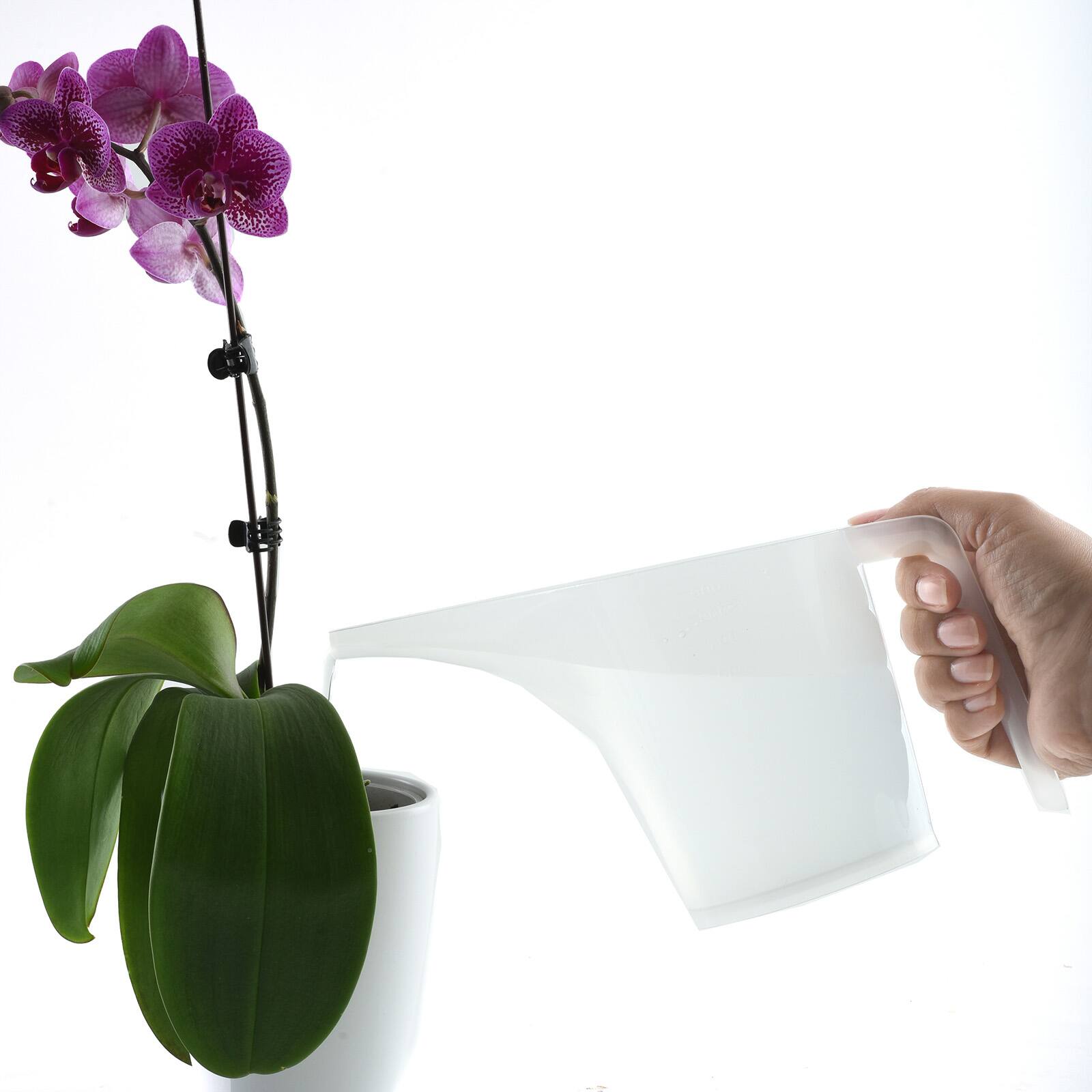 Alt View 1. Norpro - Funnel Pitcher, 3.5 Cup, White - White.