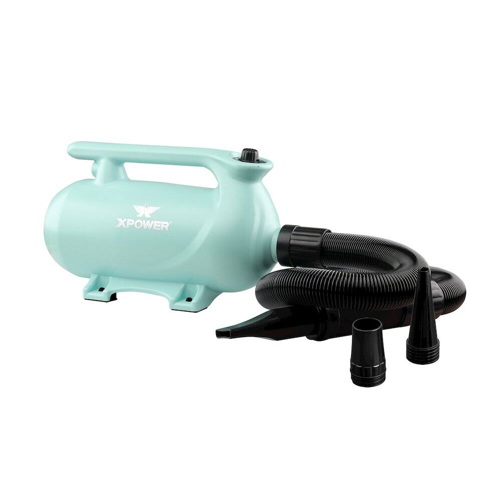Angle. XPOWER - B-163 High Velocity Variable Speed Double Motor Pet Dryer - Mint Green.