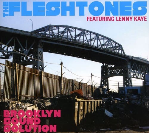 The Fleshtones - Brooklyn Sound Solution   - COMPACT DISCS [CD] price history on PriceWatchPro