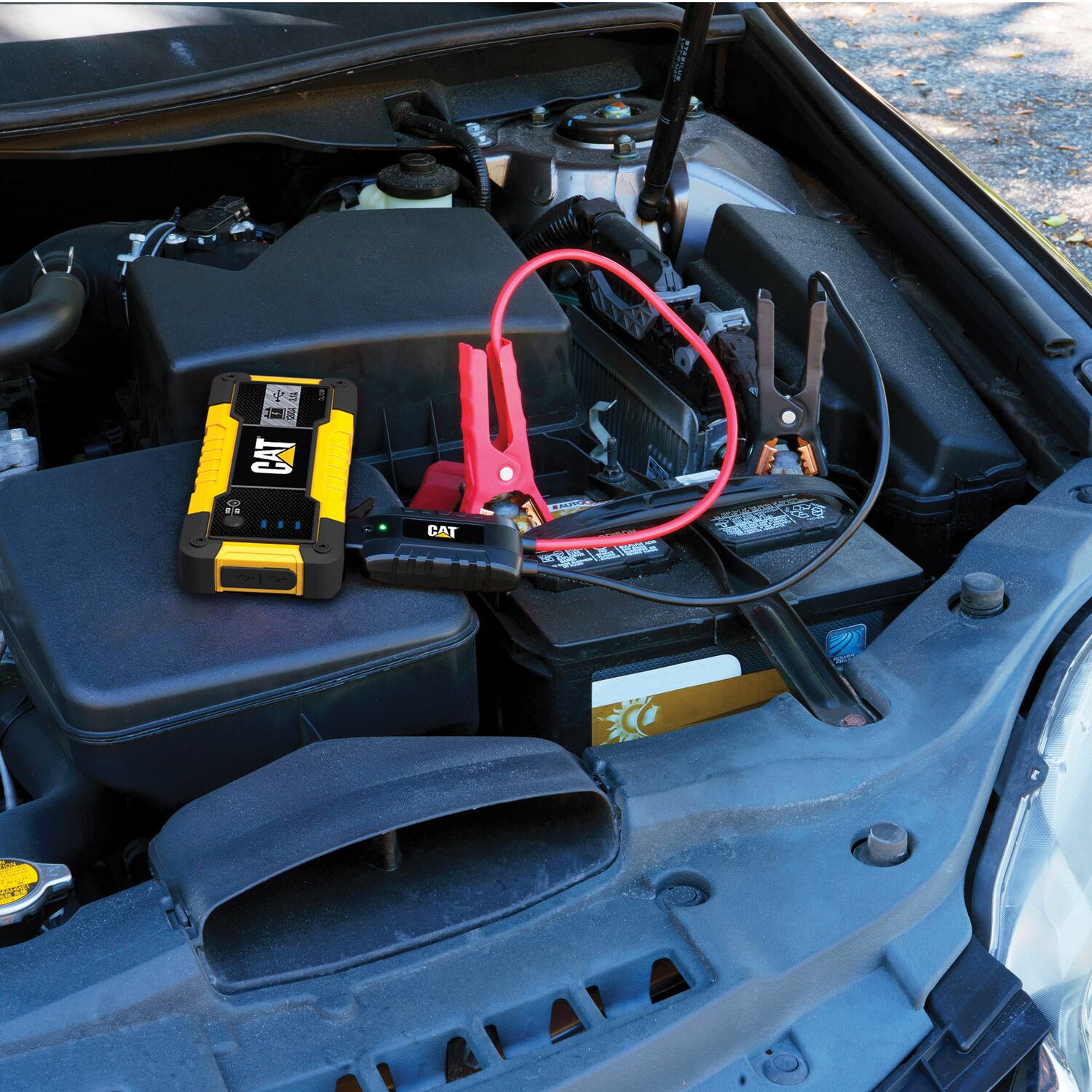 ls 5 1   GUT CAT ( ... CAT   V ECC N .