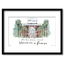 Indigo Falls - Florida Gators 16" x 20" Framed University Wall Art - Multicolor