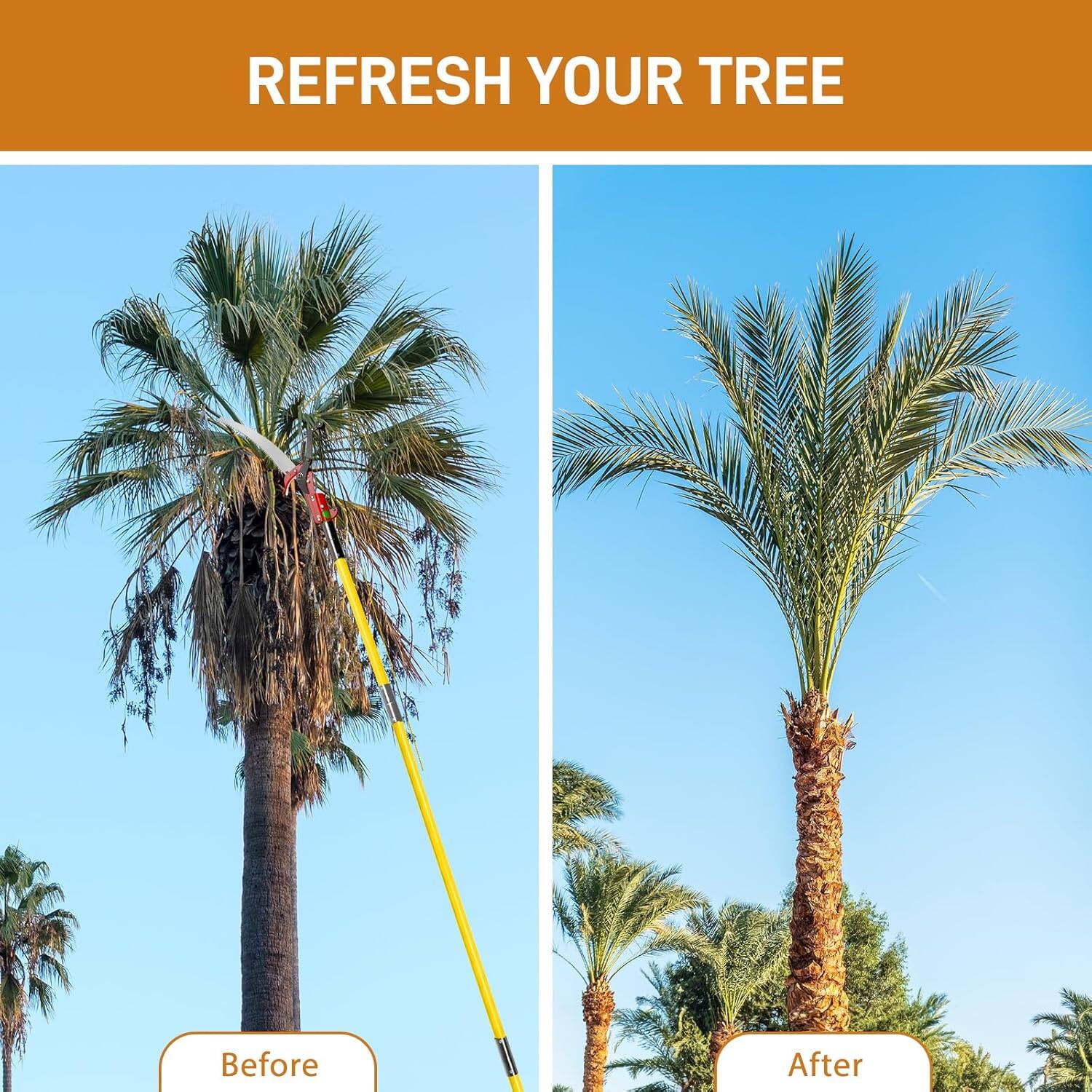 REFRESH YOUR TREE

Before

After
