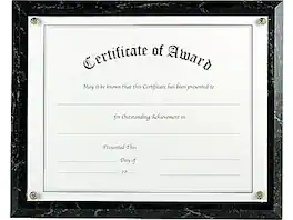 Nu-Dell - Economical Award Plaque Plastic Certificate Frame - Black