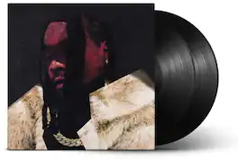 Wale - Everything Is A Lot. - VINYL LP