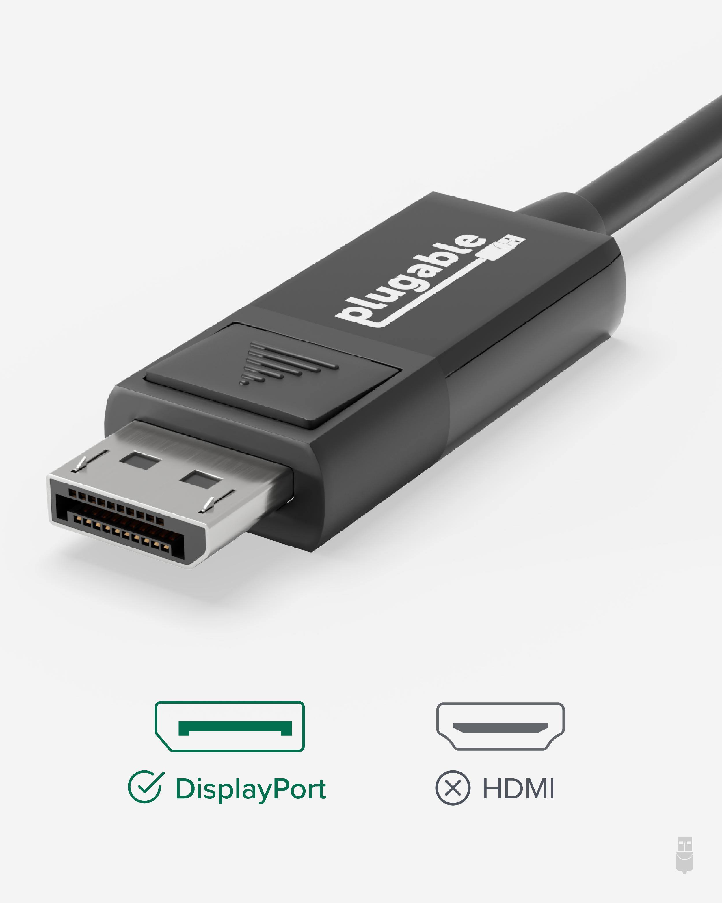 Plugable DisplayPort