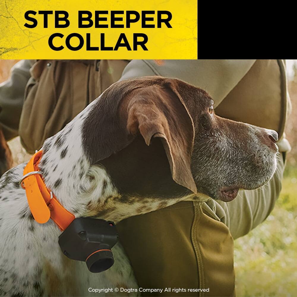STB BEEPER COLLAR

Copyright © Dogtra Company All rights reserved