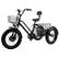 Front. Topteng - 500W 48V Electric Tricycle, 20" Fat Tire Trike, 19Mph, 25 mile Range, All-Terrain 3-Wheel E-Bike for Adult - Black.
