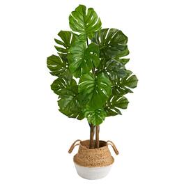 BreeBe - 4.5' Fiddle Leaf Fig Tree in White Cotton & Jute Planter - Green